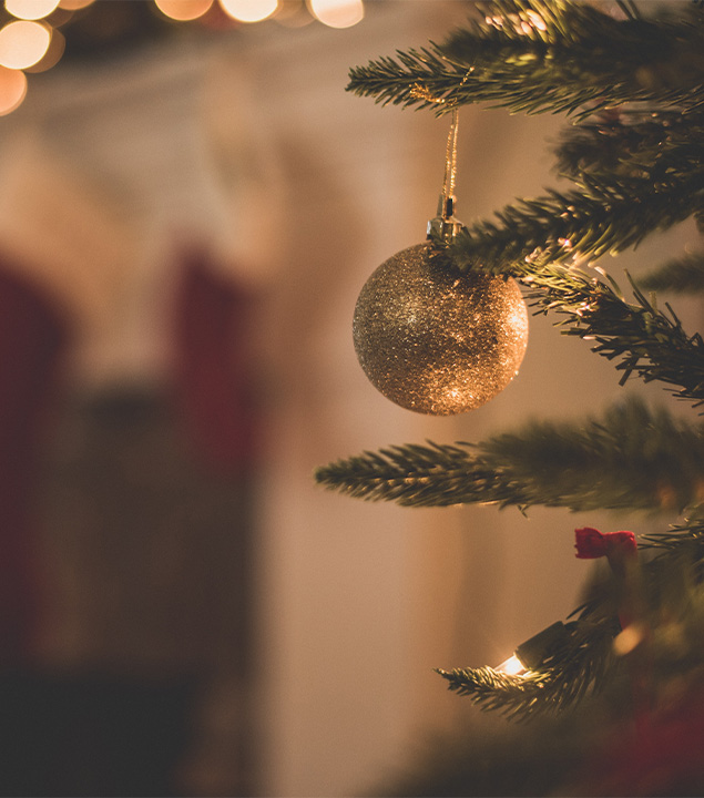 Surviving the Holidays

GriefShare

 
